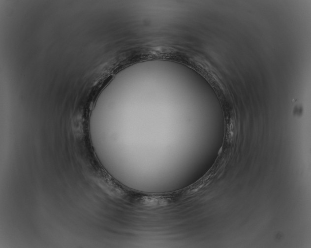 X0000091070520200708271218