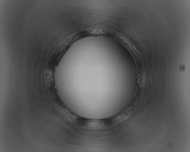 X0000091070521200708271218