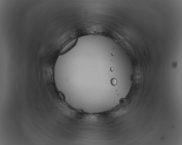 X0000091070523200708271218