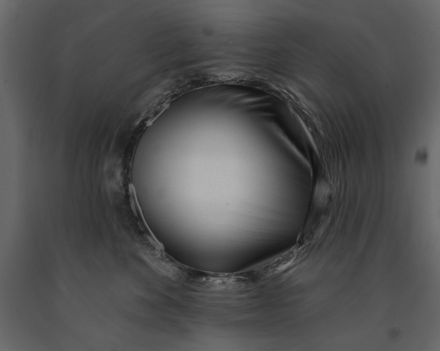 X0000091070524200708271218