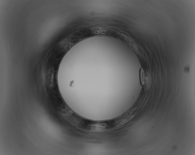 X0000091070525200708271218
