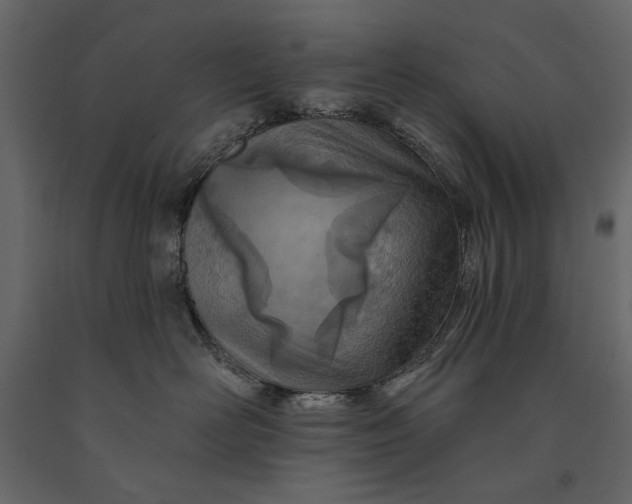 X0000091070526200708271218