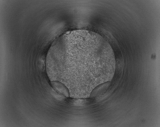 X0000091070527200708271218