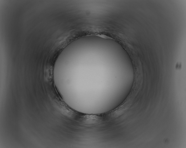X0000091070528200708271218