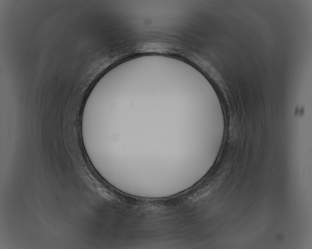 X0000091070529200708271218