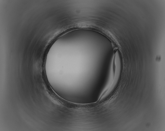X0000091070530200708271218