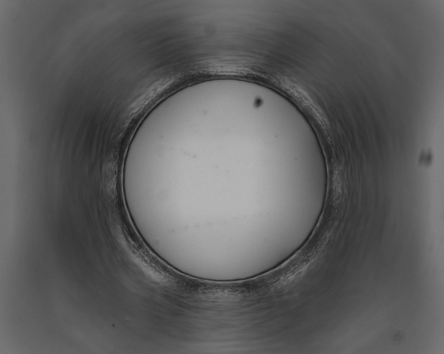 X0000091070533200708271218