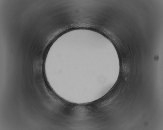 X0000091070534200708271218