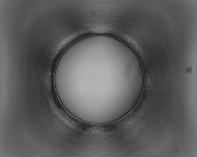 X0000091070535200708271218