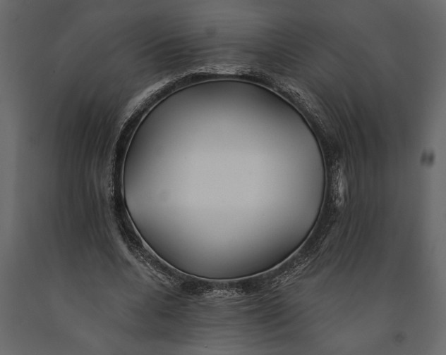 X0000091070536200708271218