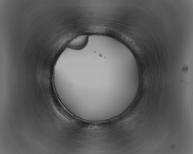 X0000091070538200708271218