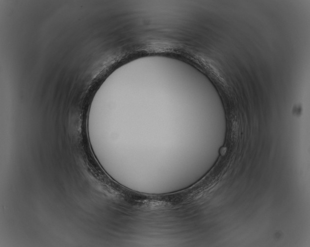 X0000091070539200708271218