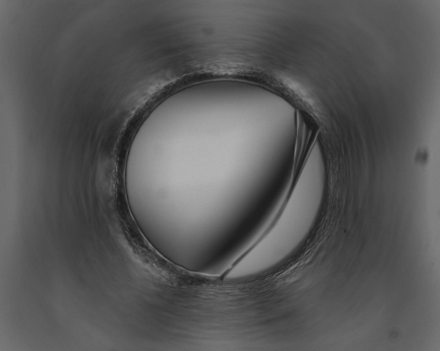 X0000091070540200708271218