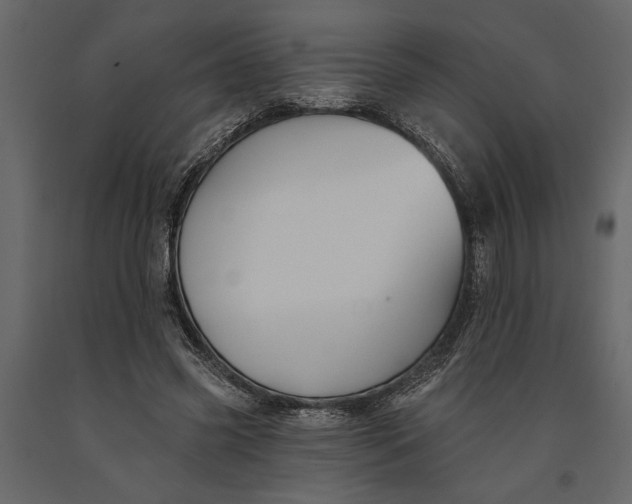 X0000091070541200708271218