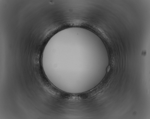 X0000091070543200708271218