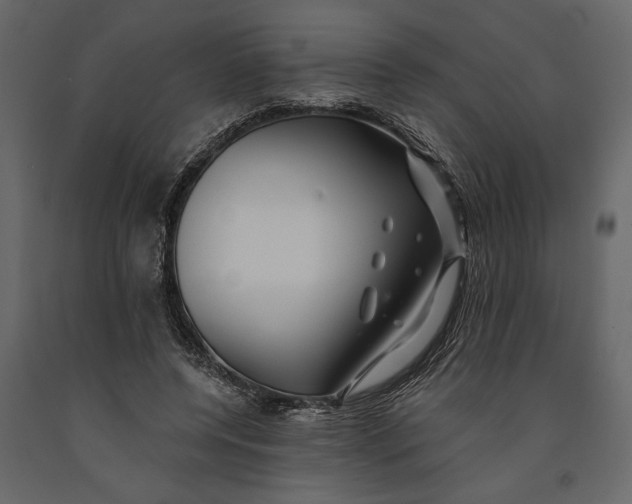 X0000091070544200708271218