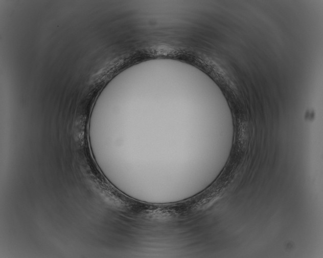 X0000091070545200708271218