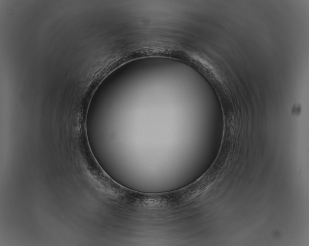X0000091070546200708271218