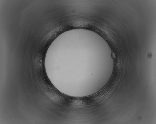 X0000091070547200708271218