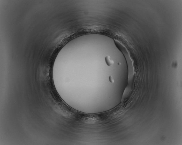 X0000091070548200708271218