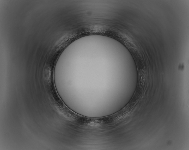 X0000091070550200708271218