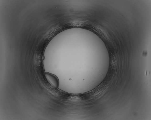 X0000091070551200708271218