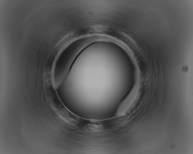 X0000091070552200708271218