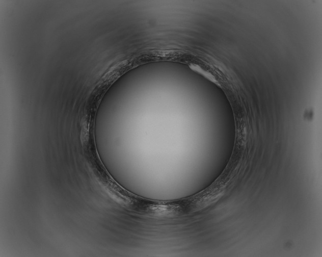 X0000091070558200708271218