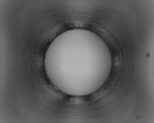 X0000091070559200708271218