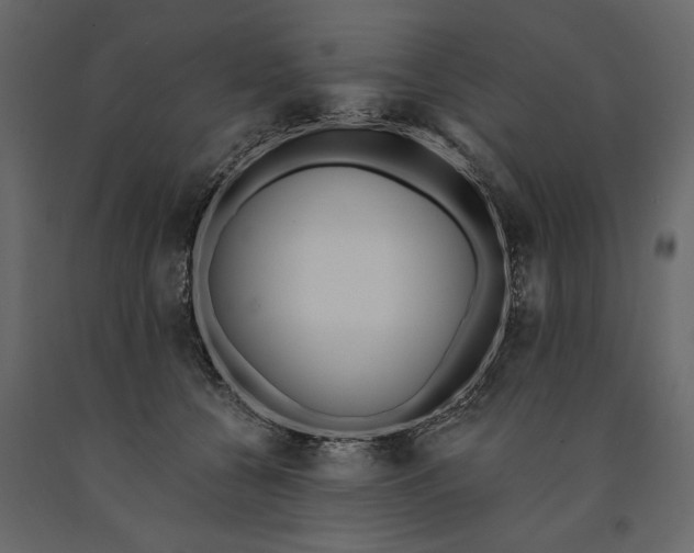 X0000091070560200708271218