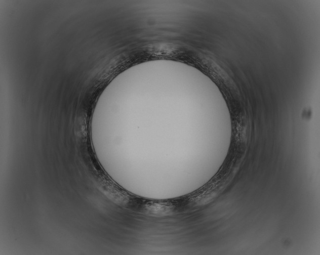 X0000091070561200708271218