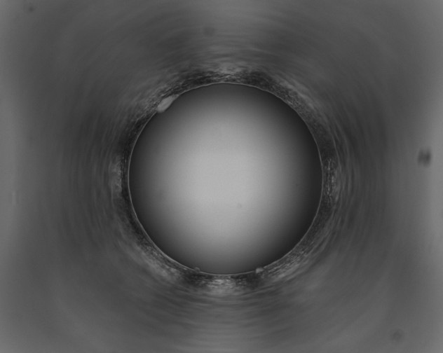 X0000091070562200708271218