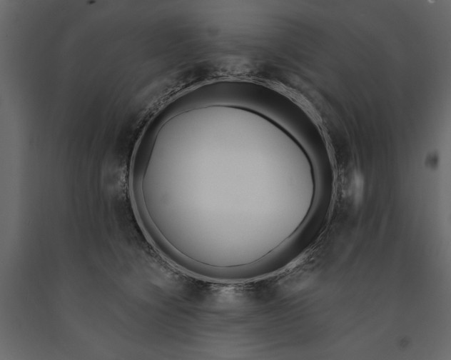 X0000091070564200708271218