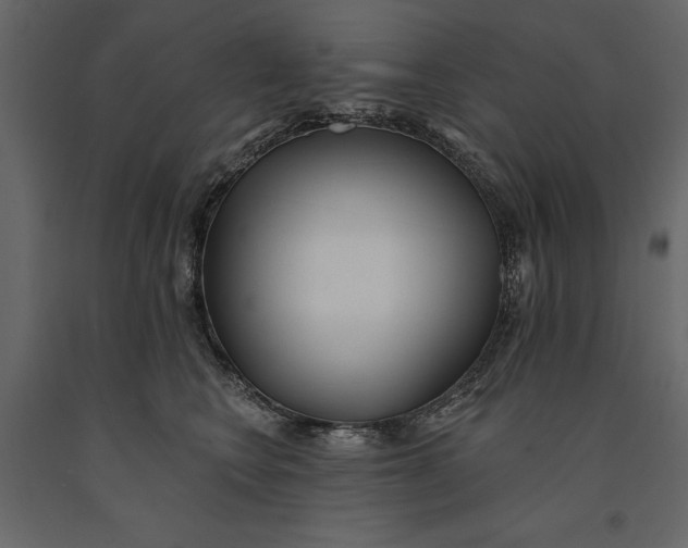 X0000091070566200708271218