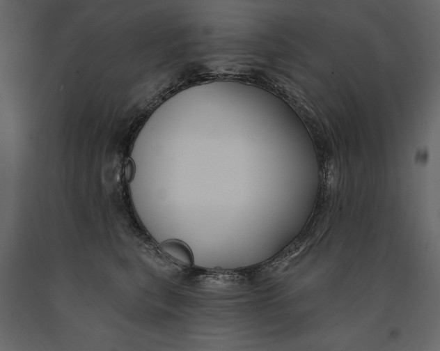 X0000091070567200708271218