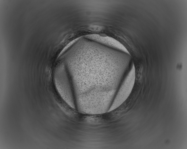 X0000091070568200708271218