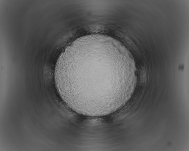 X0000091070569200708271218