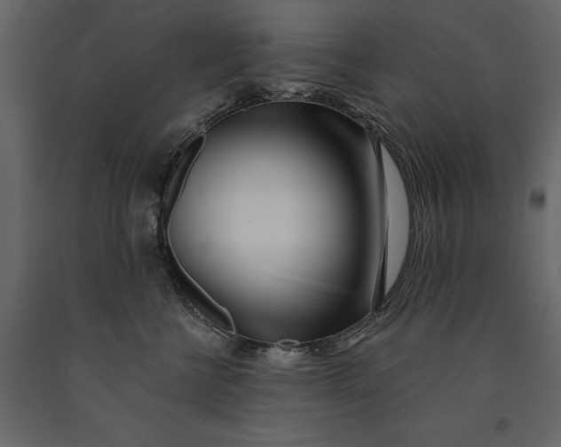 X0000091070570200708271218