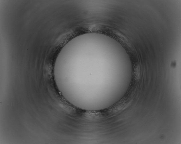 X0000091070571200708271218