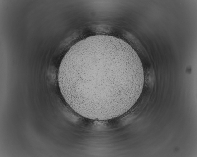 X0000091070573200708271218