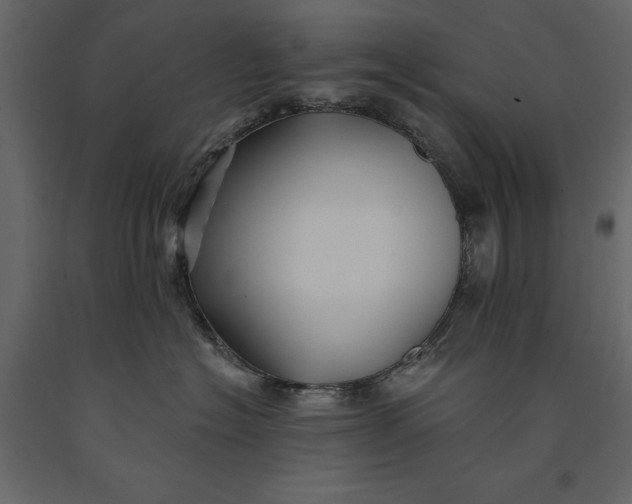 X0000091070574200708271218