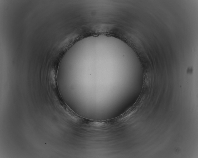 X0000091070575200708271218