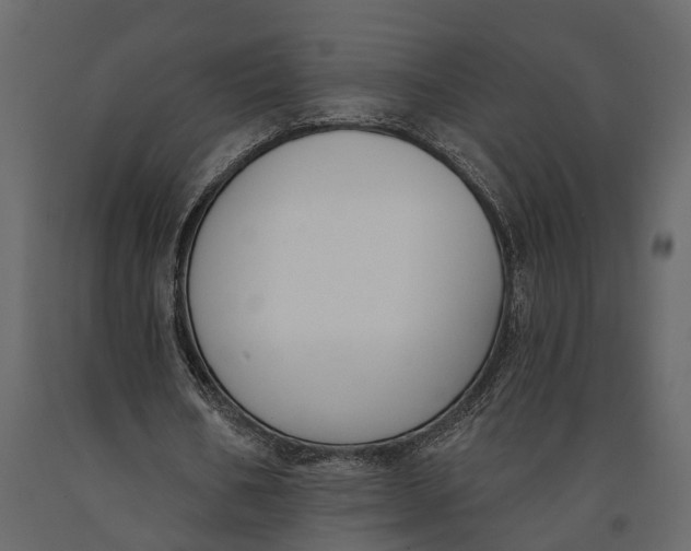 X0000091070578200708271218