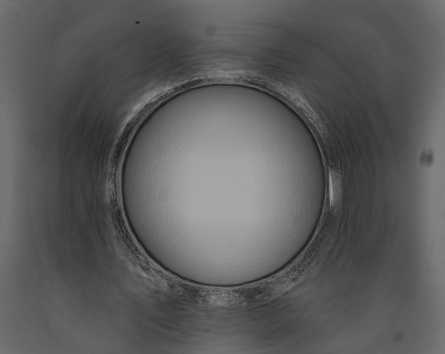 X0000091070579200708271218