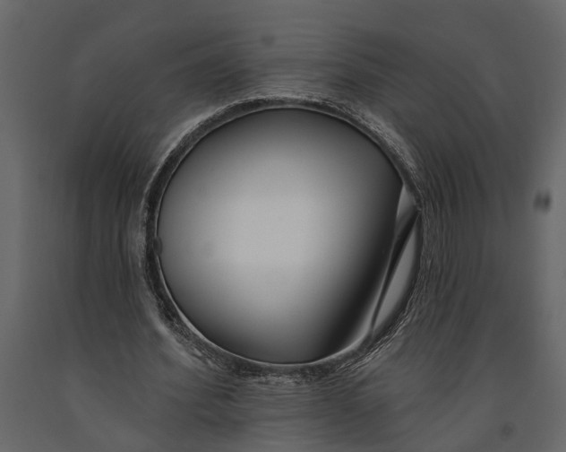 X0000091070580200708271218