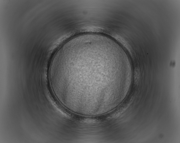 X0000091070581200708271218