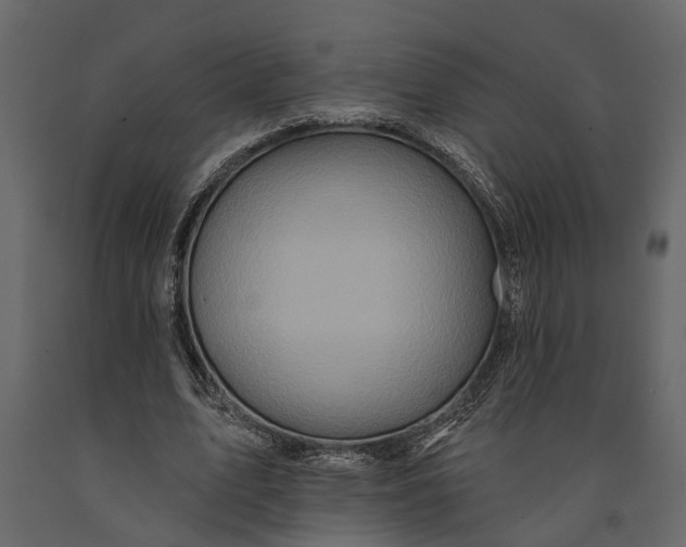 X0000091070583200708271218