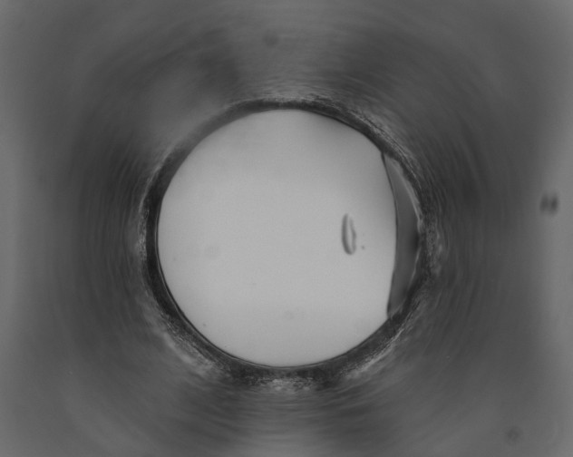 X0000091070584200708271218