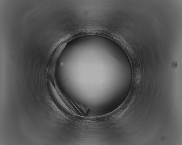 X0000091070585200708271217