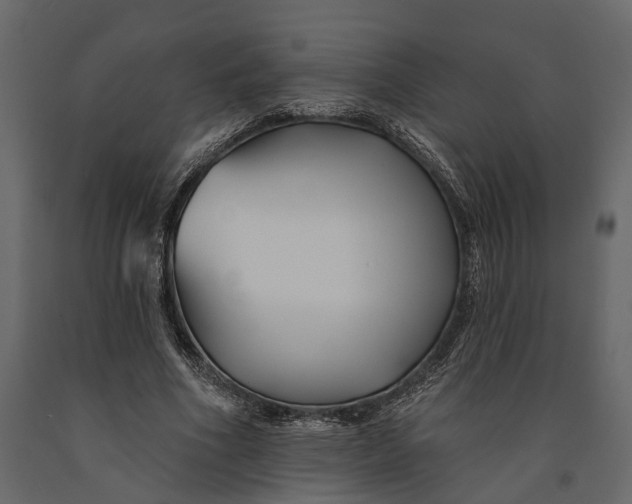 X0000091070586200708271217